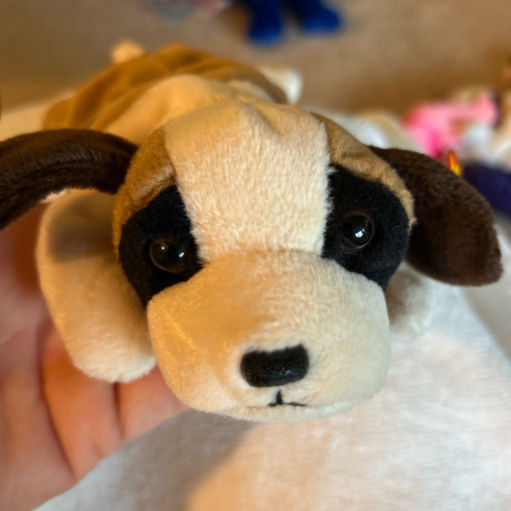 Ty beanie baby - Bearnie the St. Bernard